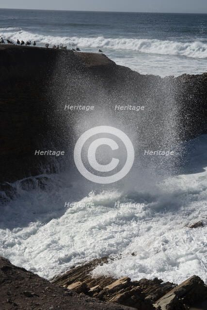 Montana de Oro, San Luis Obispo, California, USA, 2022. Creator: Ethel Davies.