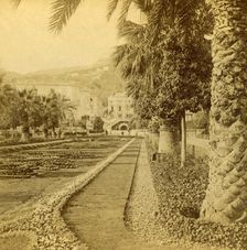 Monte Carlo, looking from the Casino 1897. Creator: BW Kilburn