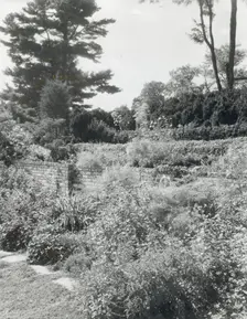 "Montebello," Gordonsville, Orange County, Virginia, 1933. Creator: Frances Benjamin Johnston