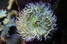 Monterey Bay Aquarium, Monterey, California, USA, 2022. Creator: Ethel Davies