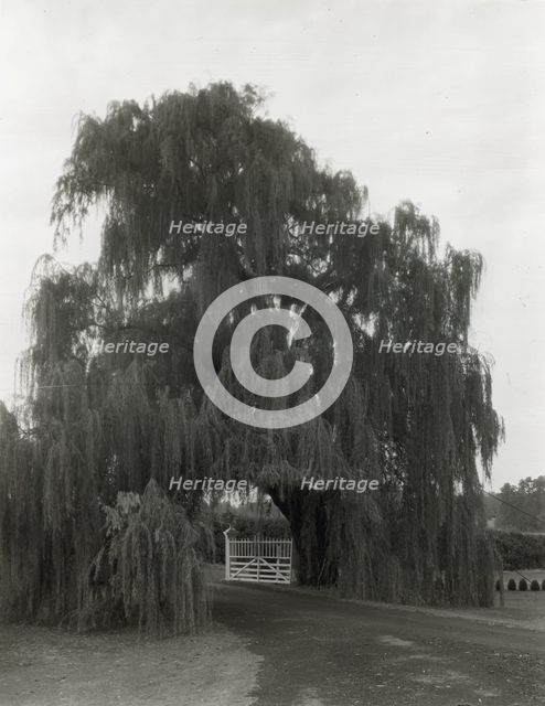 "Montpelier," Marion du Pont Scott house, 11395 Constitution Highway, Montpelier, Virginia, 1930. Creator: Frances Benjamin Johnston.