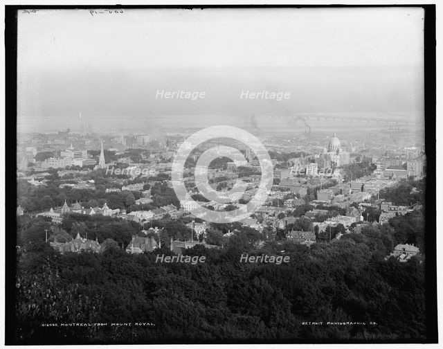 Montreal from Mount Royal, between 1890 and 1901. Creator: Unknown.