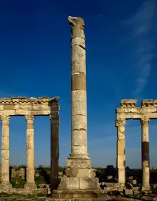 Monumental column and colonnade, Apamea, Syria, 2002. Creator: LTL