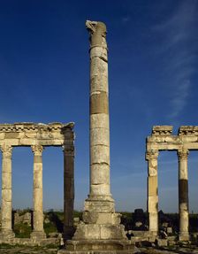 Monumental column and colonnade, Apamea, Syria, 2002. Creator: LTL
