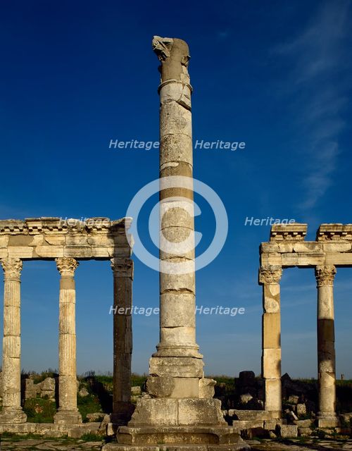 Monumental column and colonnade, Apamea, Syria, 2002. Creator: LTL.