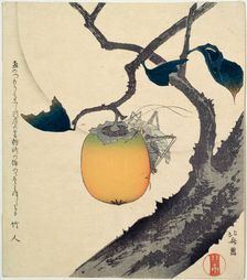 Moon, Persimmon and Grasshopper 1807. Artist: Hokusai