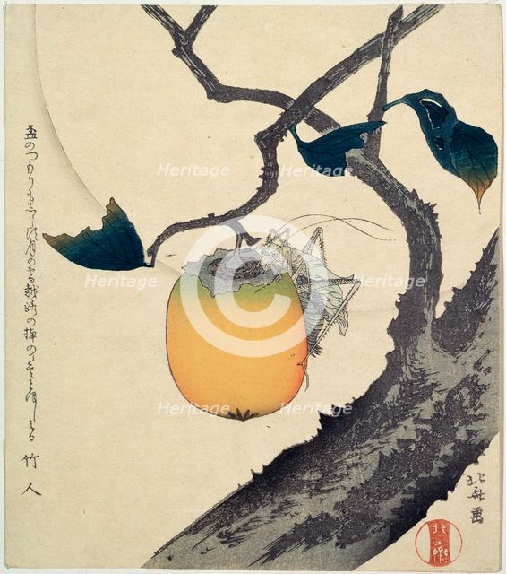 'Moon, Persimmon and Grasshopper', 1807.  Artist: Hokusai