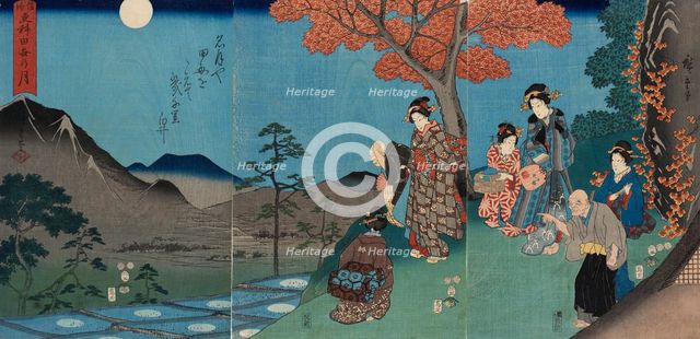 Moon Reflected in the Rice Fields at Sarashina in Shinano Province, 1858. Creator: Ando Hiroshige.
