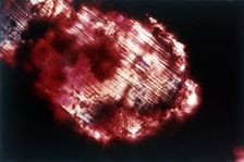 Moon rock. Creator: NASA