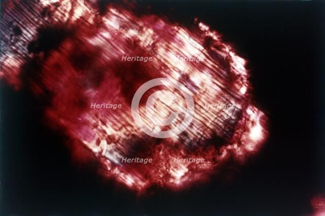 Moon rock. Creator: NASA.