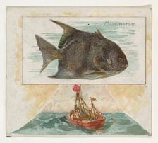 Moonfish, from Fish from American Waters series (N39) for Allen & Ginter Cigarettes, 1889. Creator: Allen & Ginter