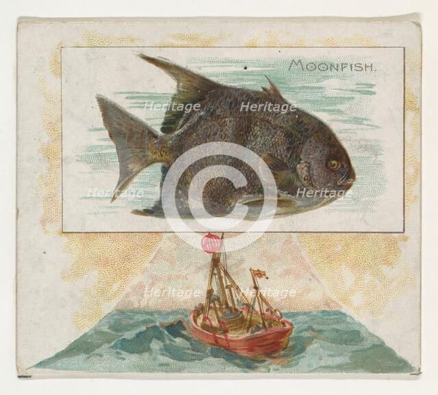 Moonfish, from Fish from American Waters series (N39) for Allen & Ginter Cigarettes, 1889. Creator: Allen & Ginter.