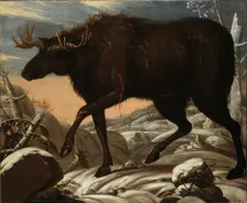 Moose, c17th century. Creator: David Klocker Ehrenstrahl