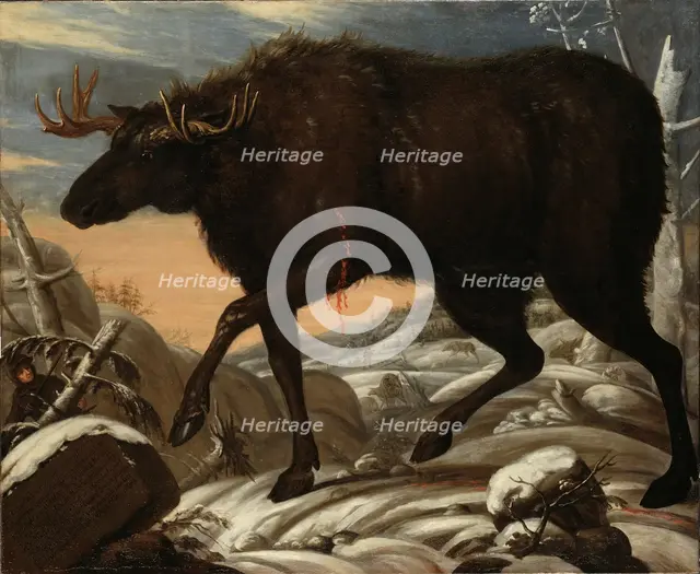 Moose, c17th century. Creator: David Klocker Ehrenstrahl.