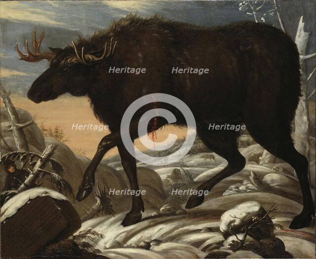 Moose, c17th century. Creator: David Klocker Ehrenstrahl.