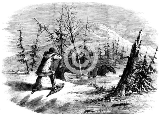 Moose-hunting in Canada - the Attack, 1858. Creator: Unknown.