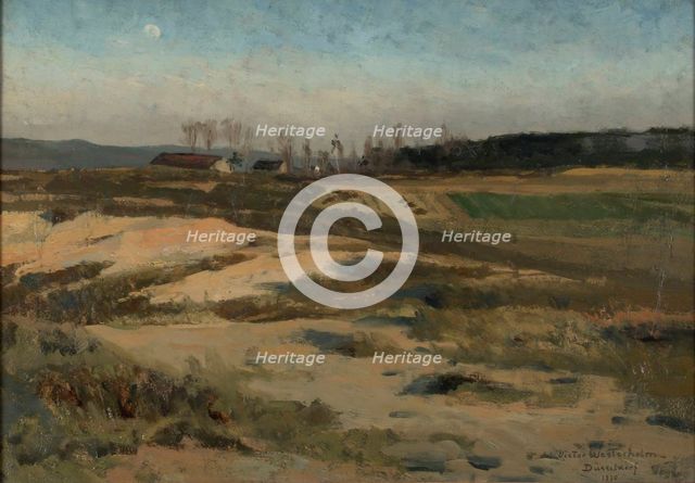 Moor, 1880. Creator: Victor Westerholm.