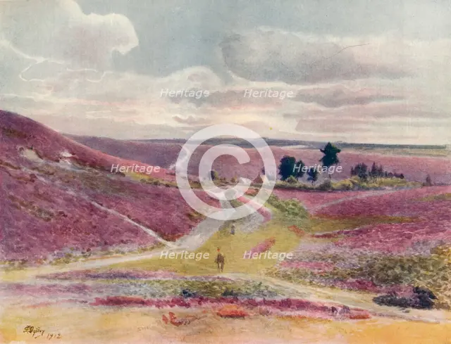 'Moorland at Frensham', 1912, (1914). Artist: James S Ogilvy.
