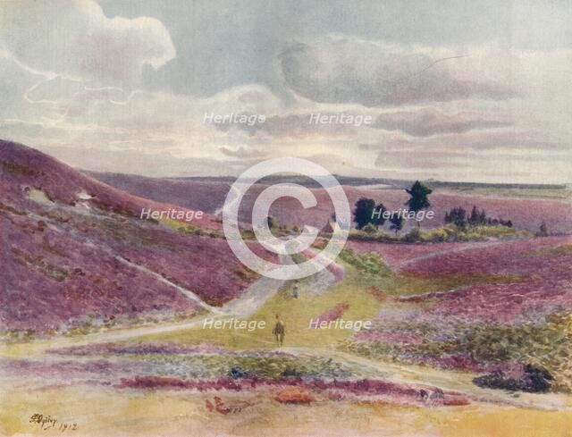 'Moorland at Frensham', 1912, (1914). Artist: James S Ogilvy.