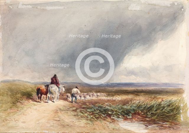 Moorland Scene, Driving Sheep, 1851. Creator: David Cox the Elder.