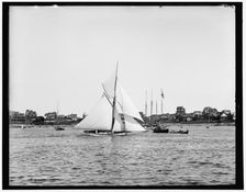 Mopsa, 1890 June 28. Creator: Unknown