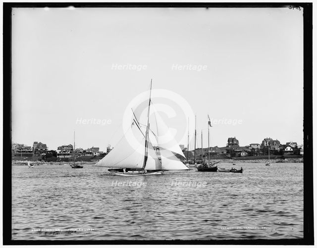 Mopsa, 1890 June 28. Creator: Unknown.