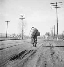 More than twenty-five years a bindle-stiff..., Napa Valley, California, 1938. Creator: Dorothea Lange