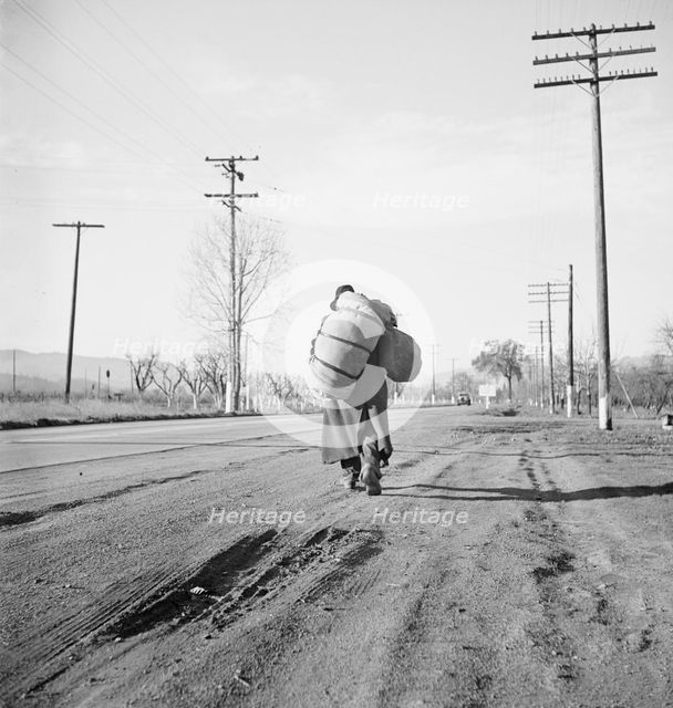 More than twenty-five years a bindle-stiff..., Napa Valley, California, 1938. Creator: Dorothea Lange.