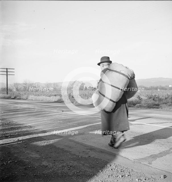 More than twenty-five years a bindle-stiff..., Napa Valley, California, 1938. Creator: Dorothea Lange.