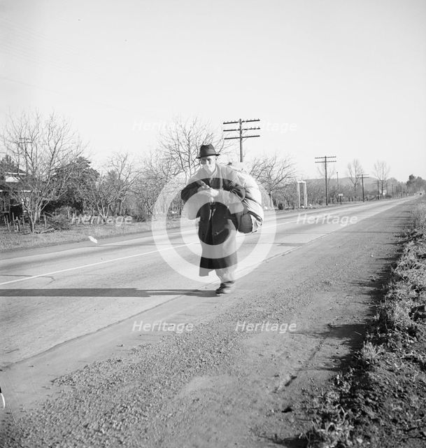 More than twenty-five years a bindle-stiff..., Napa Valley, California, 1938. Creator: Dorothea Lange.