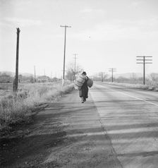 More than twenty-five years a bindle-stiff..., Napa Valley, California, 1938. Creator: Dorothea Lange