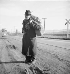 More than twenty-five years a bindle-stiff..., Napa Valley, California, 1938. Creator: Dorothea Lange