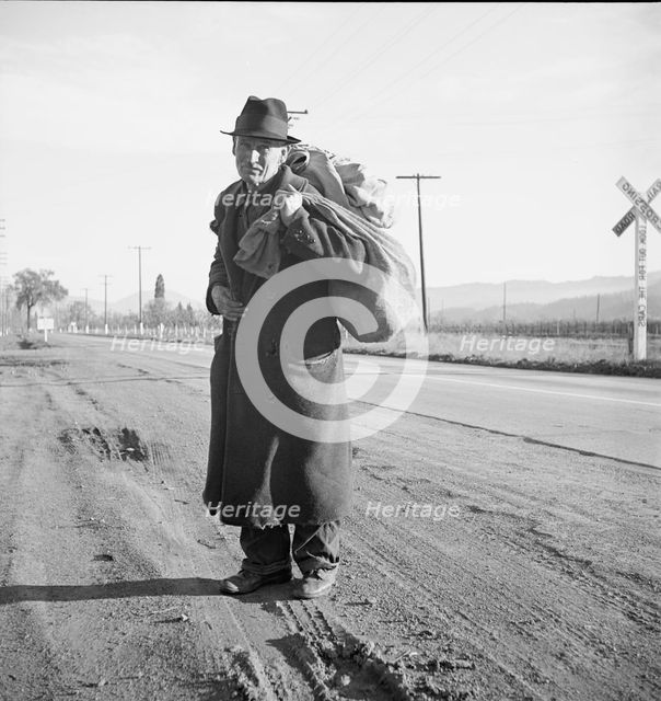 More than twenty-five years a bindle-stiff..., Napa Valley, California, 1938. Creator: Dorothea Lange.