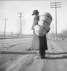 More than twenty-five years a bindle-stiff..., Napa Valley, California, 1938. Creator: Dorothea Lange