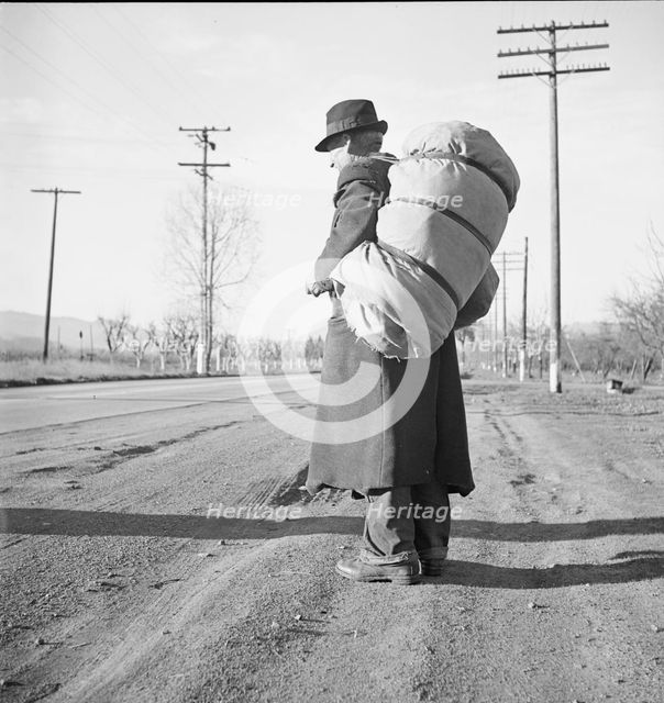 More than twenty-five years a bindle-stiff..., Napa Valley, California, 1938. Creator: Dorothea Lange.