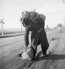 More than twenty-five years a bindle-stiff..., Napa Valley, California, 1938. Creator: Dorothea Lange