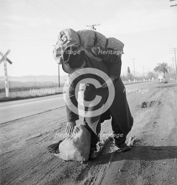 More than twenty-five years a bindle-stiff..., Napa Valley, California, 1938. Creator: Dorothea Lange.