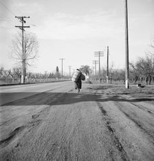 More than twenty-five years a bindle-stiff..., Napa Valley, California, 1938. Creator: Dorothea Lange
