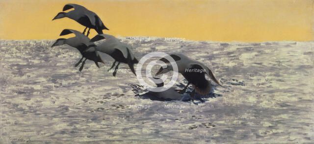 Morning Breeze. Artist: Liljefors, Bruno Andreas (1860-1939)