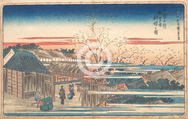 Morning Cherries at Yoshiwara. Creator: Ando Hiroshige.
