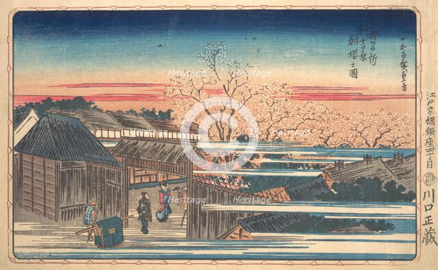 Morning Cherry Blossoms at Shin-Yoshiwara. Creator: Ando Hiroshige.