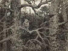 Morning Daybreak in the Wilds of Krasnoyarsk Taiga, 1904. Creator: Boris Vasilievich Smirnov
