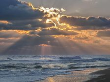 Morning Glorious. Creator: Eve Turek