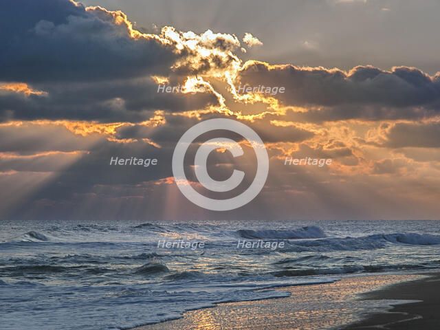 Morning Glorious. Creator: Eve Turek.