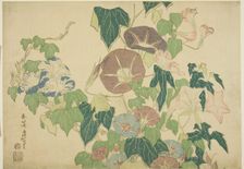 Morning Glories and Tree-frog, from an untitled series of Large Flowers, Japan, c. 1833/34. Creator: Hokusai