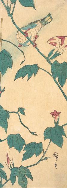Morning Glories and Bird, 1840-50., 1840-50. Creator: Ando Hiroshige