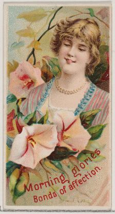 Morning Glories: Bonds of Affection, from the series Floral Beauties and Language of Flowe..., 1892. Creator: Donaldson Brothers