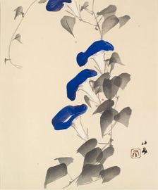 Morning glory, 1901 - 1942. Creator: Takeuchi Seiho