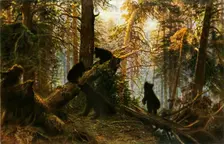 Morning in the Pine-Wood 1889, (1965). Creator: Ivan Shishkin