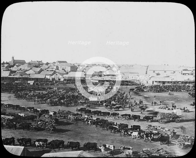Morning market, Kimberley, South Africa, c1890. Artist: Unknown